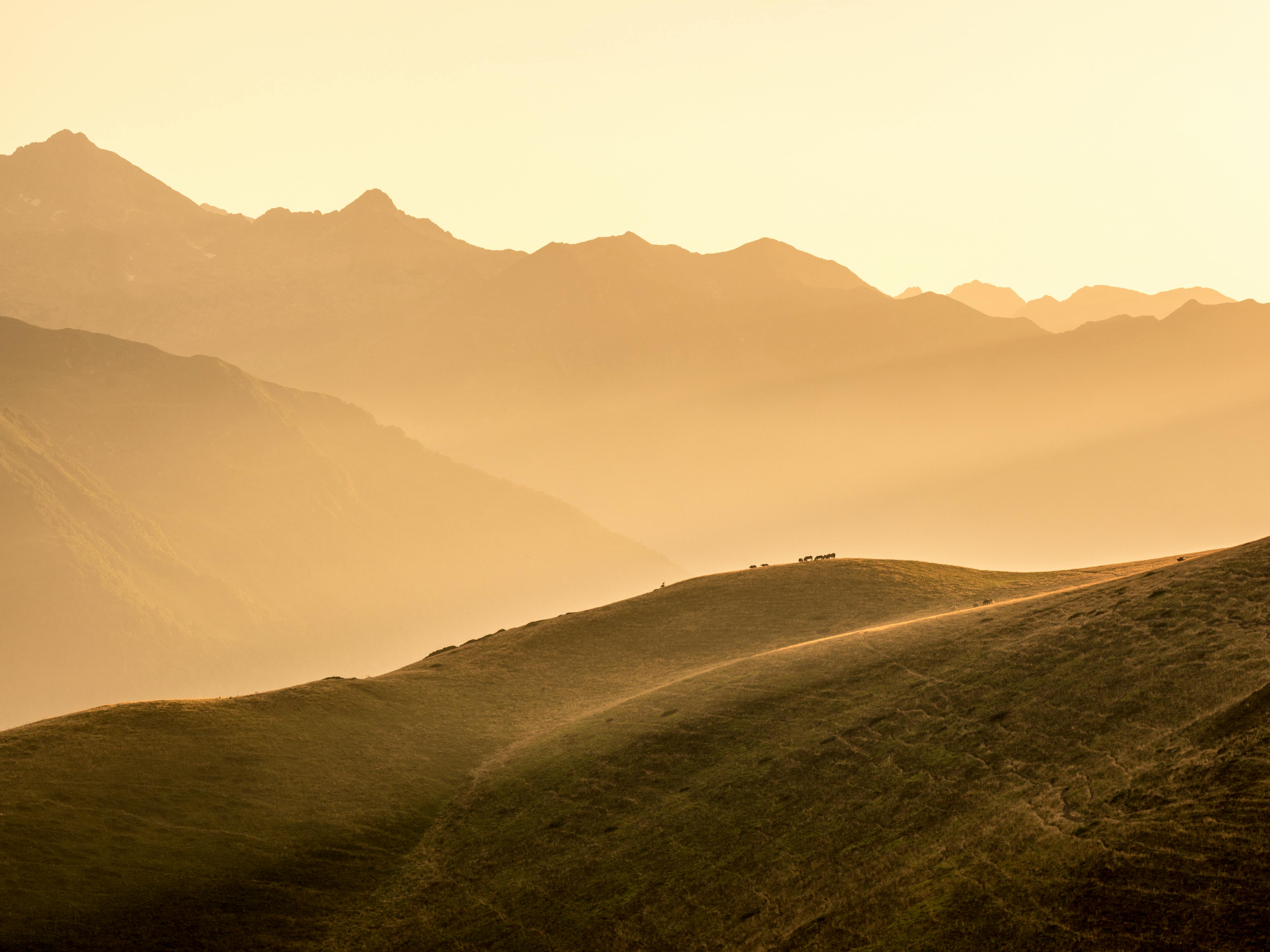 Vallée dorée des Pyrénées — territoire d'intervention de l'équipe